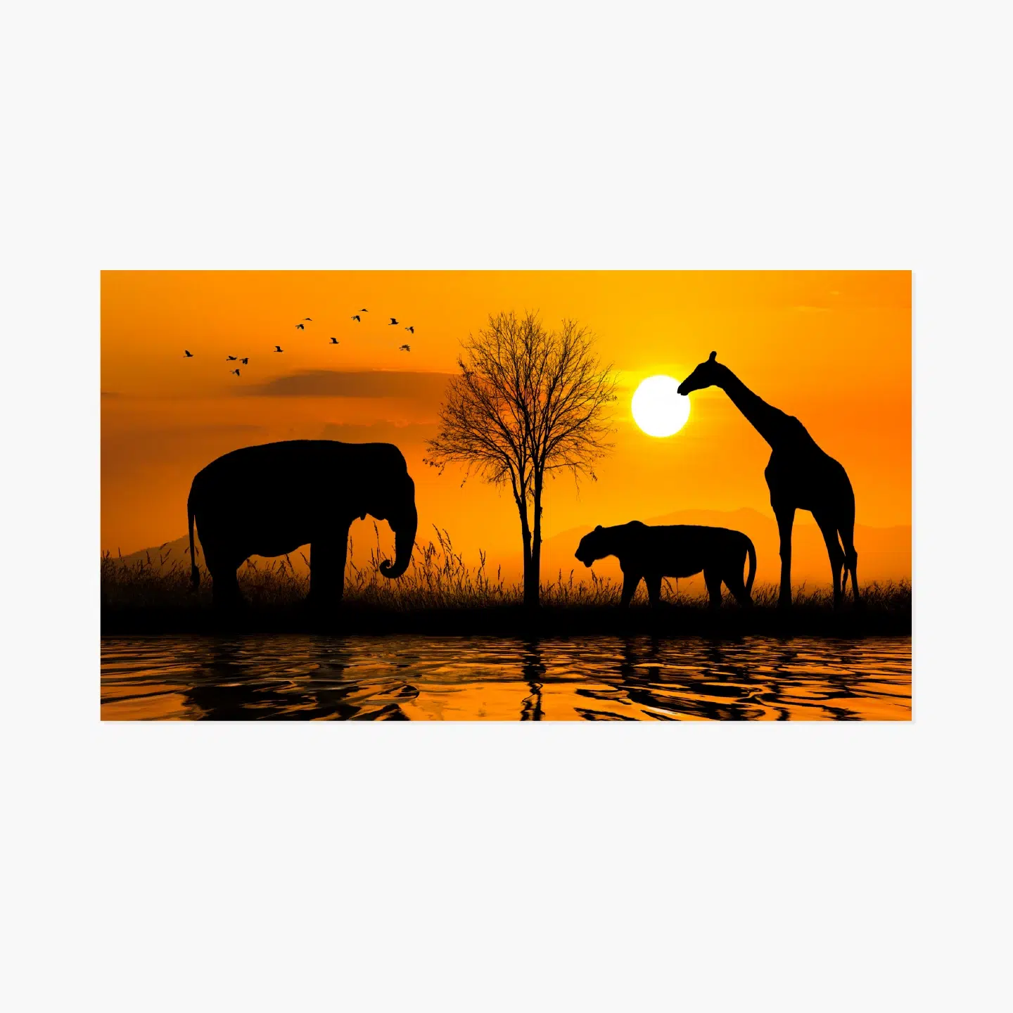 tableau-photo-elephant-lion-giraffe-coucher-de-soleil-samatableau-a